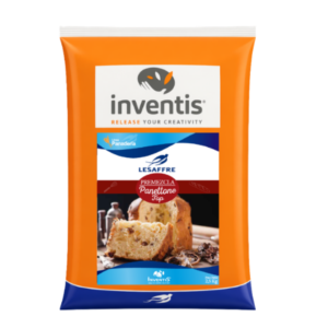 PANETTONE TOP 500G